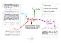 Reportagem.pdf